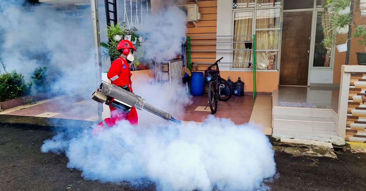 Bournemouth Pest Control — local pest control at work